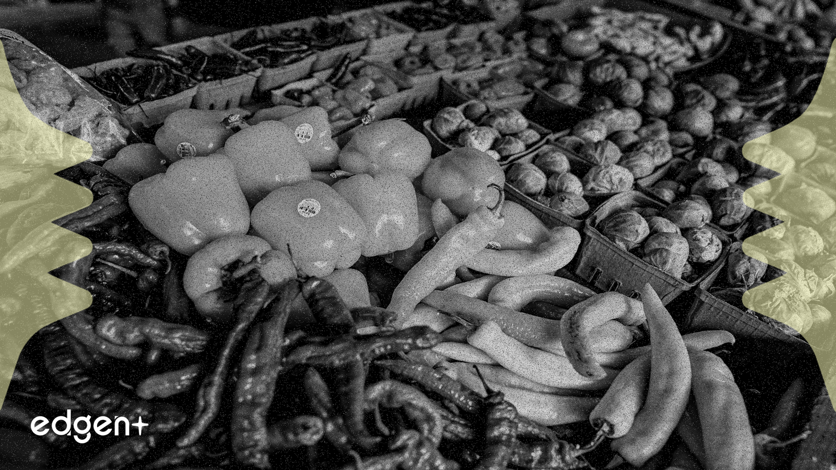 ABD Borsası Teknoloji Devlerinin Güçlü Kazanç Raporları Sonrası Yükselişle Açıldı, Piyasa İyimserliğini Artırdı