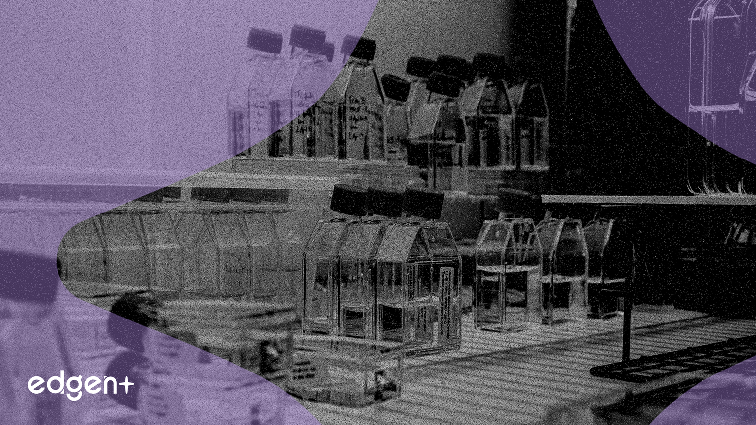 ABL Bio obtient 55 millions de dollars d'Eli Lilly, ce qui fait bondir son action de 6,13%