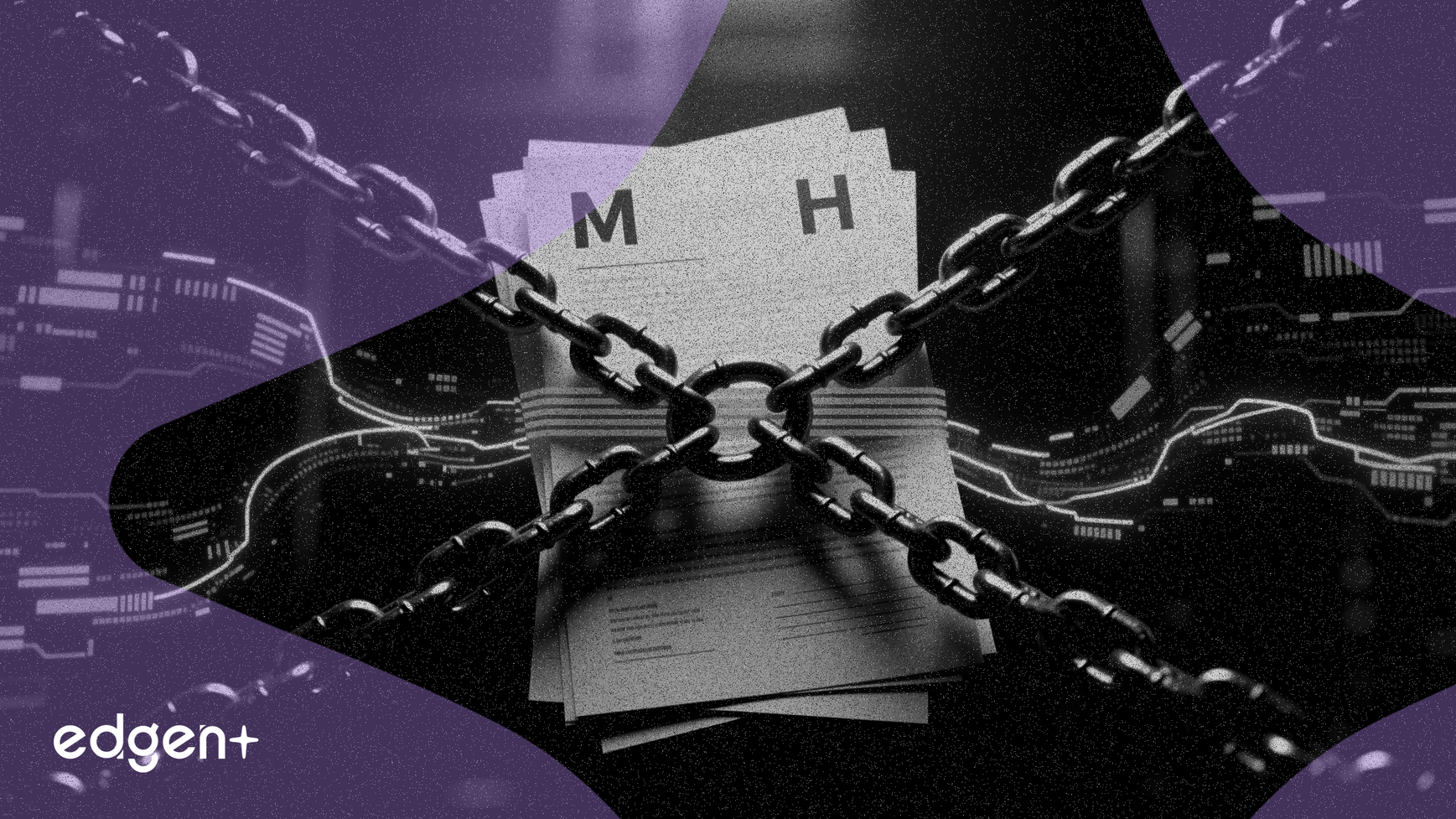 엡스타인 파일, 머스크와 호프만 간 더 깊은 연관성 공개