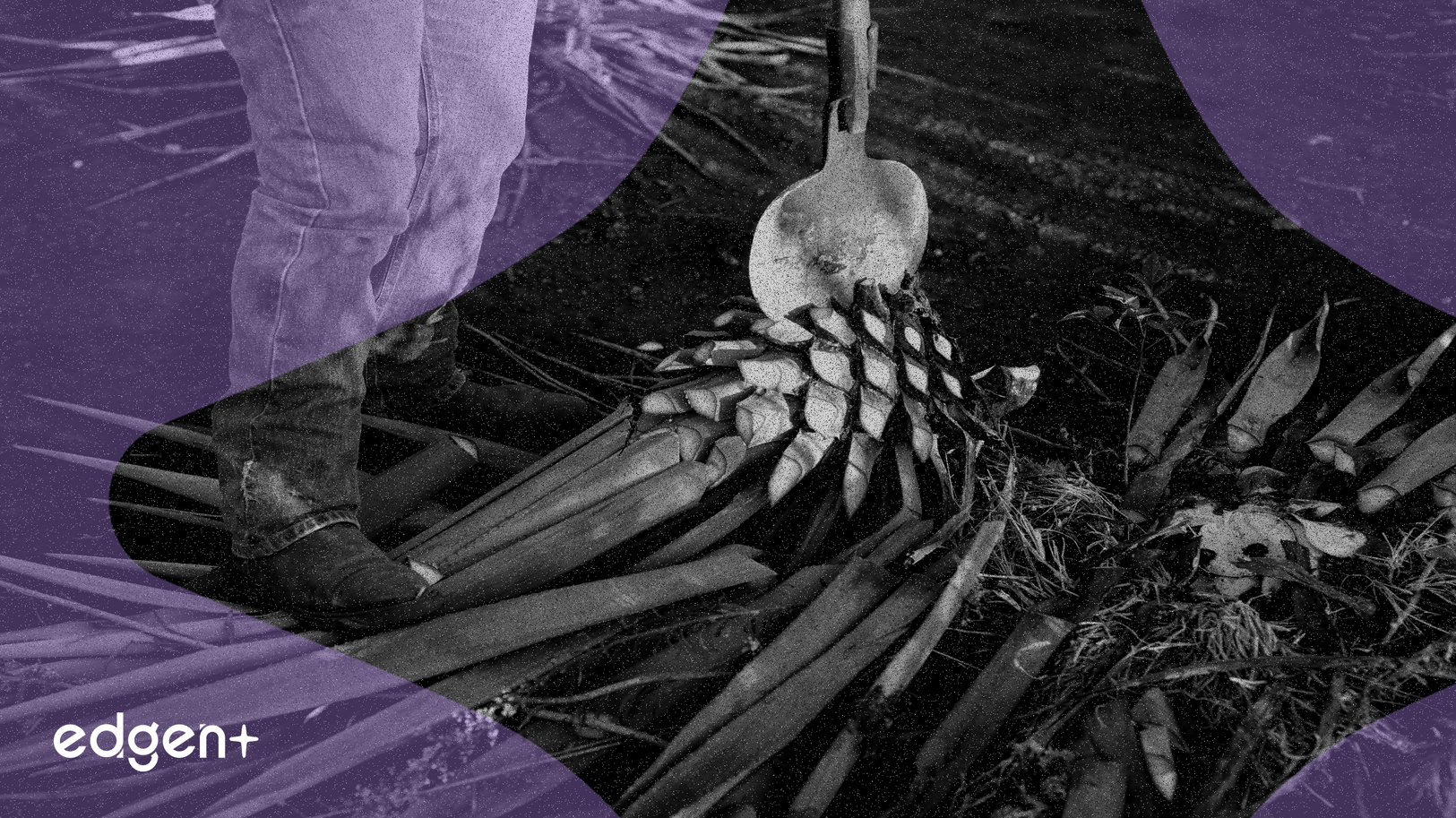 B of A Securities, Çeşitli Analist Görüşleri Arasında FMC Corporation'ın Notunu Yükseltti