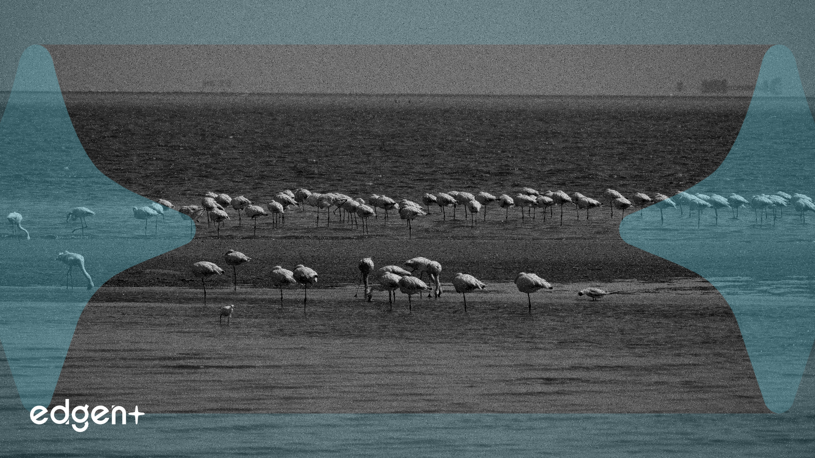 M0N3Y 更名為 ZERA 引發 99% 價格暴跌，恰逢 Solana 推動隱私保護