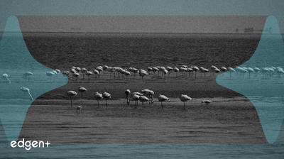 M0N3YのZERAへのブランド変更が99%の価格暴落を引き起こす、Solanaのプライバシー推進の中で