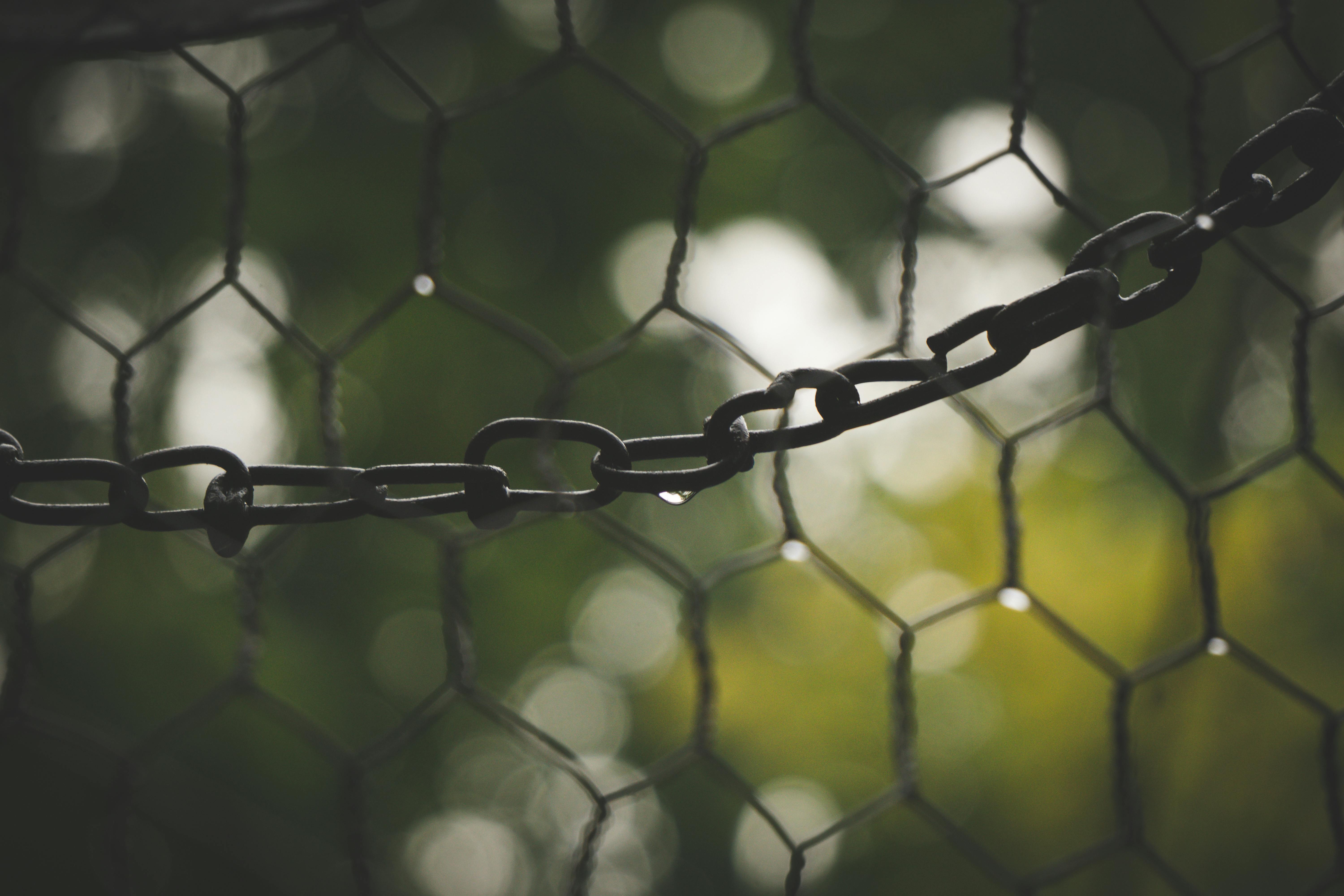 ABD Ticaret Bakanlığı 2. Çeyrek GSYİH Verilerini Blockchain Ağlarında Yayımladı