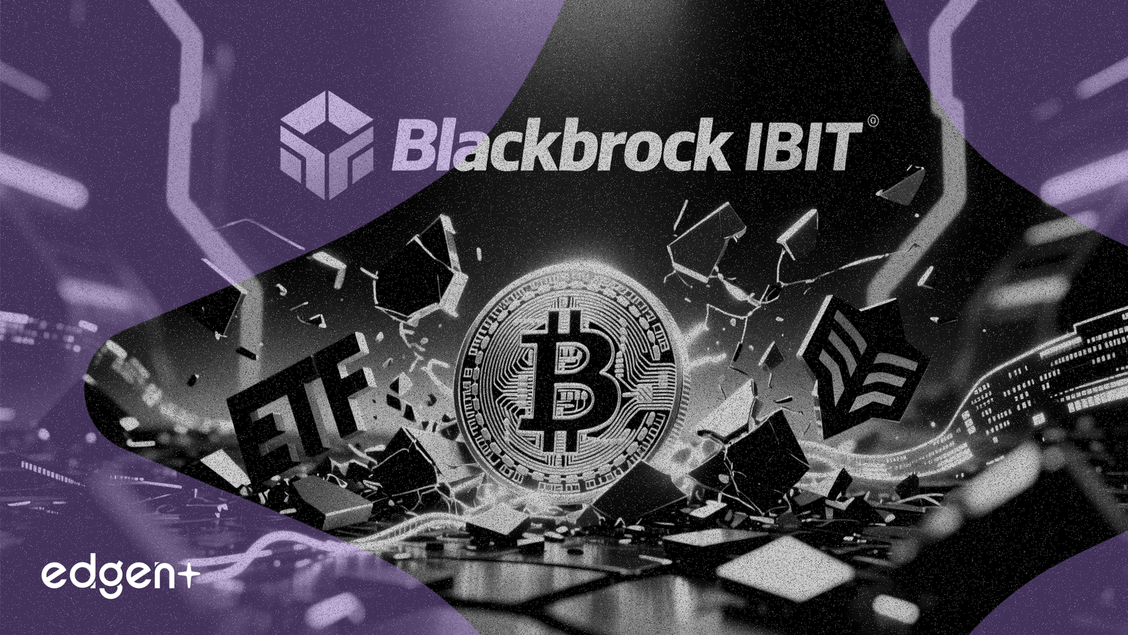 BlackRock'ın IBIT'i Düşük Ücretlerle Bitcoin ETF Savaşını Kazandı
