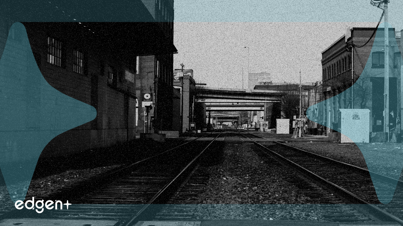 Walrus (WAL) giảm giá sau niêm yết Binance và Airdrop HODLer