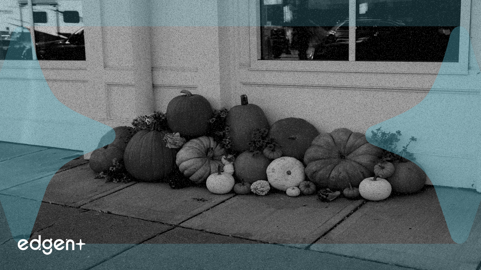 Housing Sector Navigates Divergent Sentiment Amidst High Inventory and Affordability Challenges