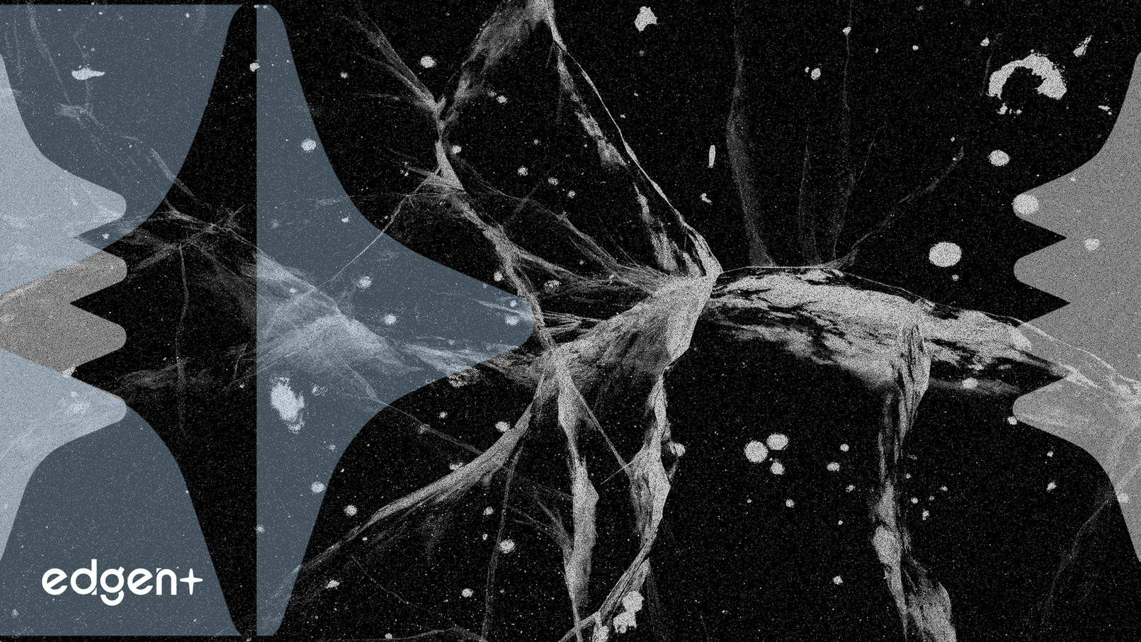L'action Nebius bondit de 14,56 % grâce à des perspectives d'IA optimistes