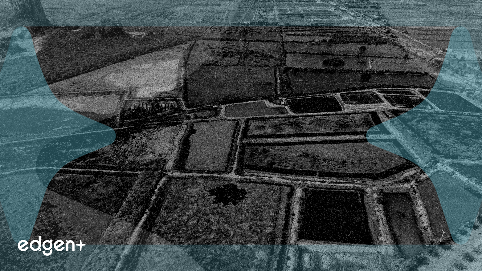 CICC Touts Farm Stocks After Beijing Prioritizes Food Security