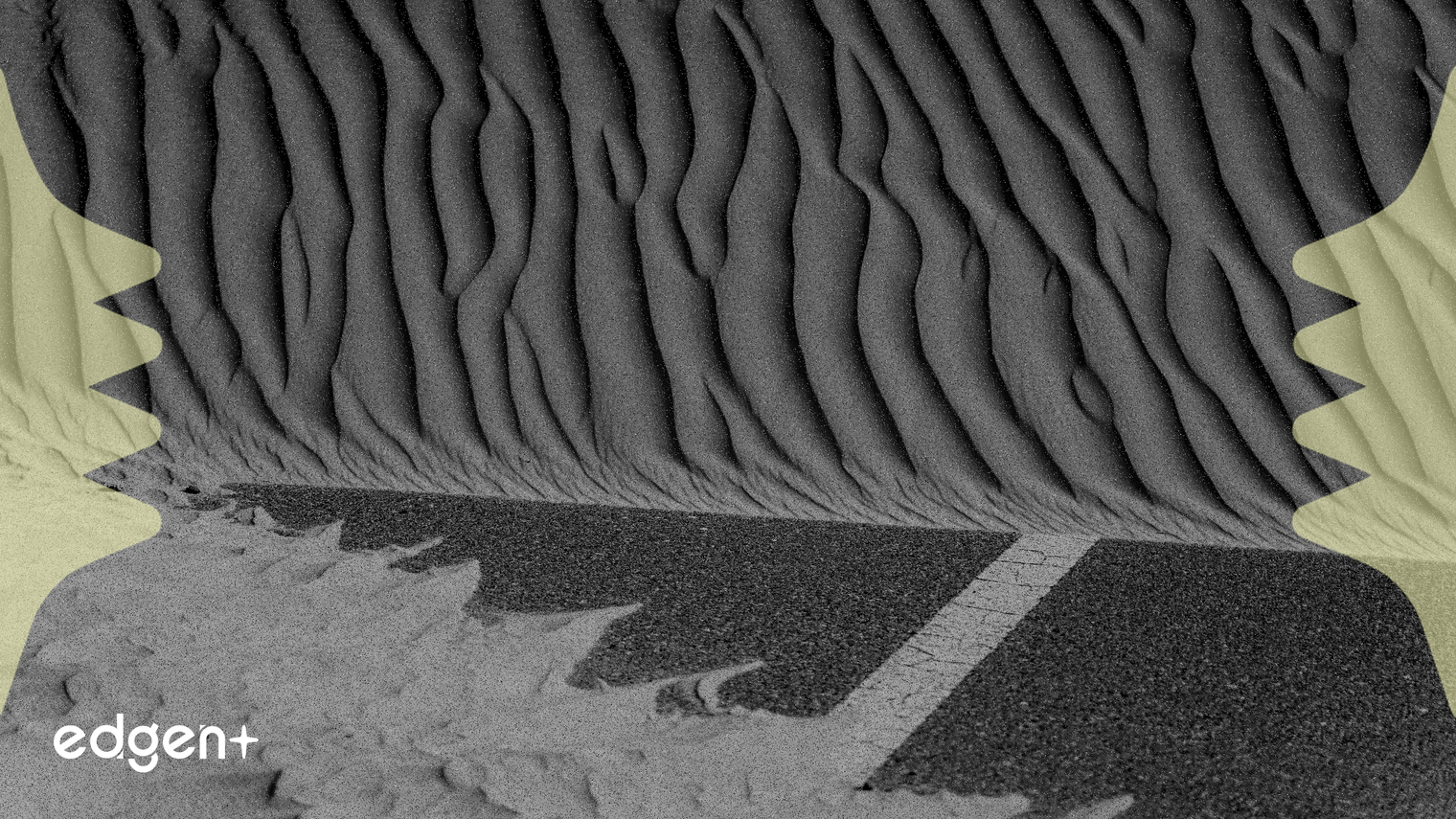 杜拜監管機構對19家無牌加密營運商處以罰款