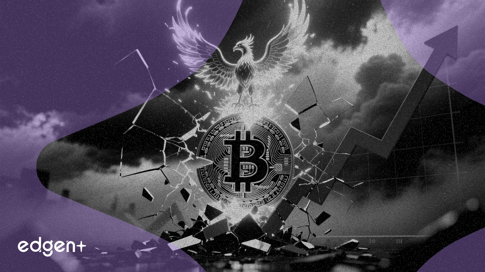 ビットコイン利益率が史上最低水準に、大きな上昇余地を示唆