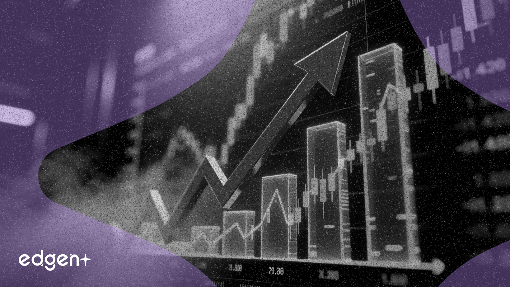 Les actions de SailPoint chutent malgré des prévisions annuelles relevées