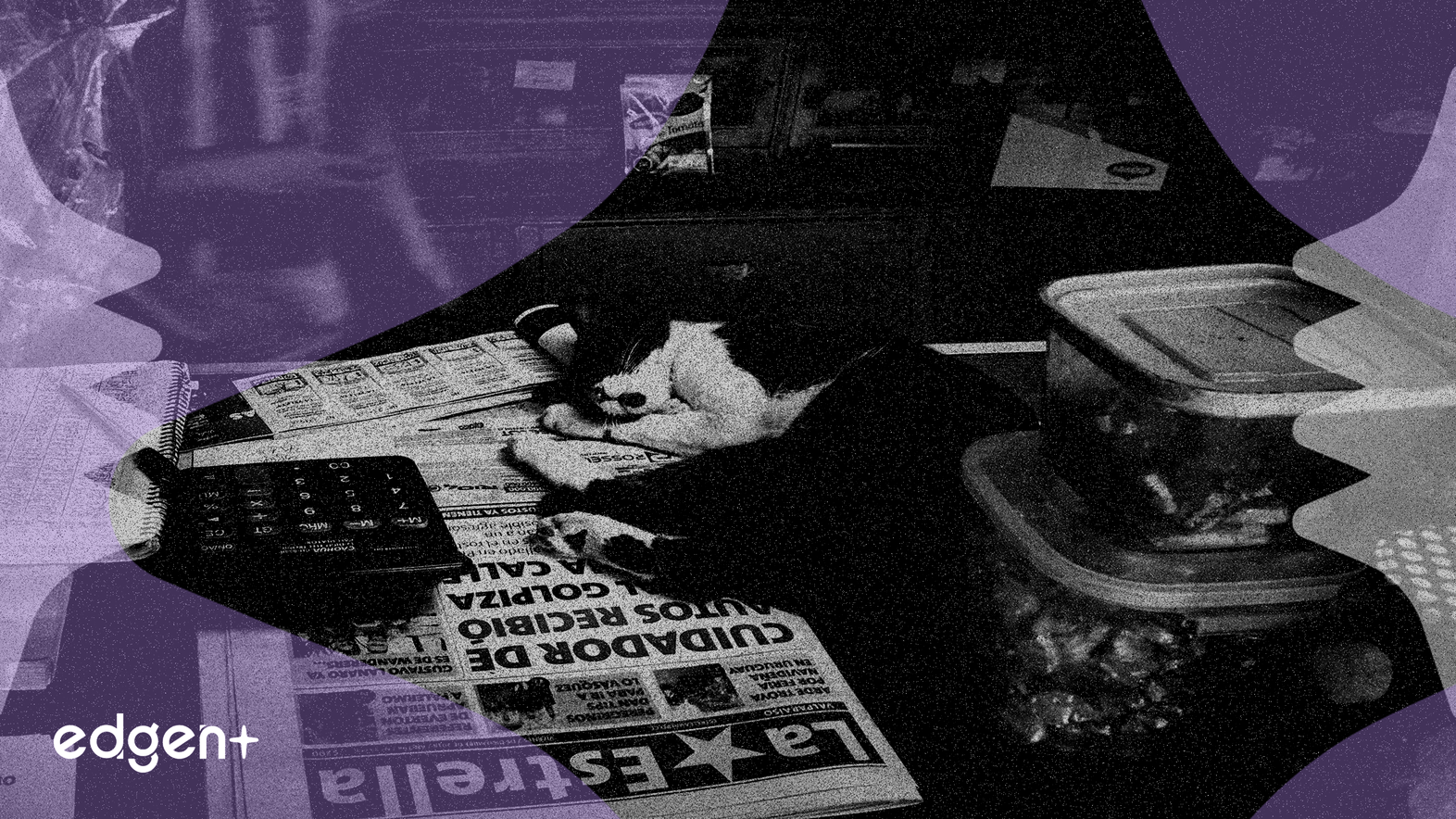 El margen EBITDA de Chewy alcanza el 5.8% tras un aumento del 30% en las ganancias