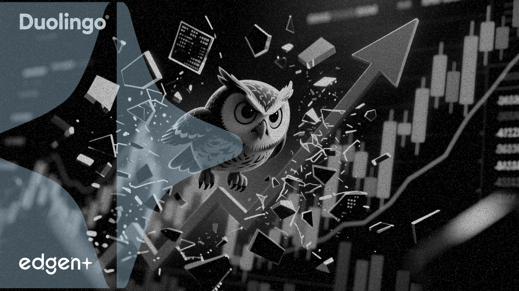 多鄰國股價下跌3.35%，逆勢大盤上漲