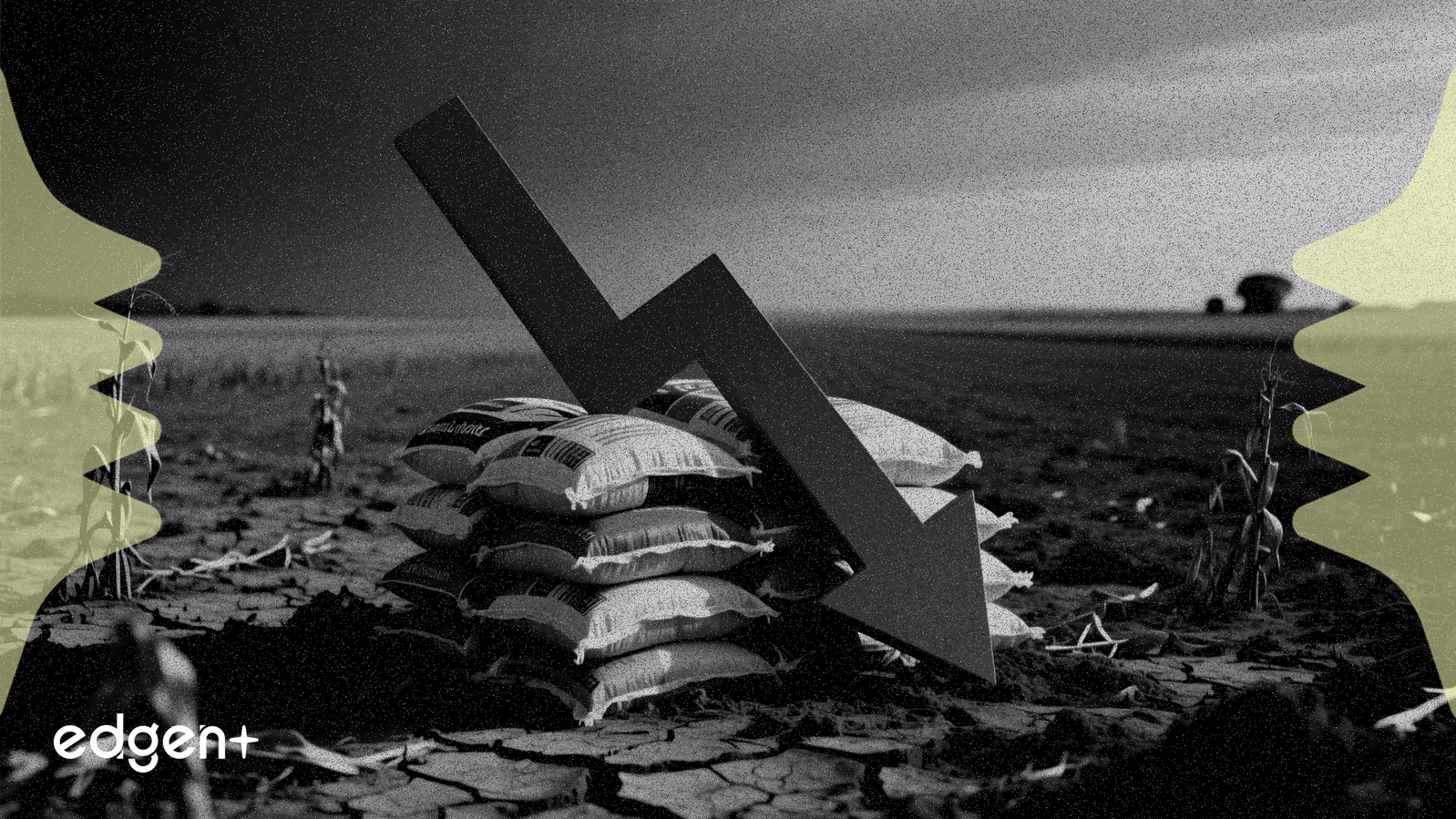 モザイク、肥料需要減少により第4四半期売上高に警告