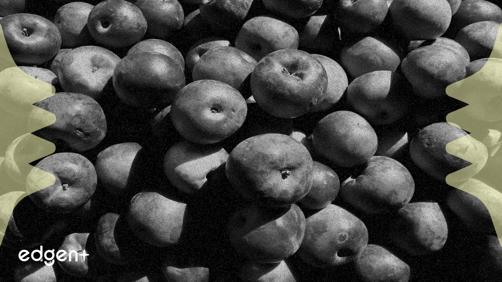 Tập đoàn Công nghệ & Truyền thông Trump đối mặt với sự giám sát về việc đưa vào Chỉ số Russell 3000 và Định giá