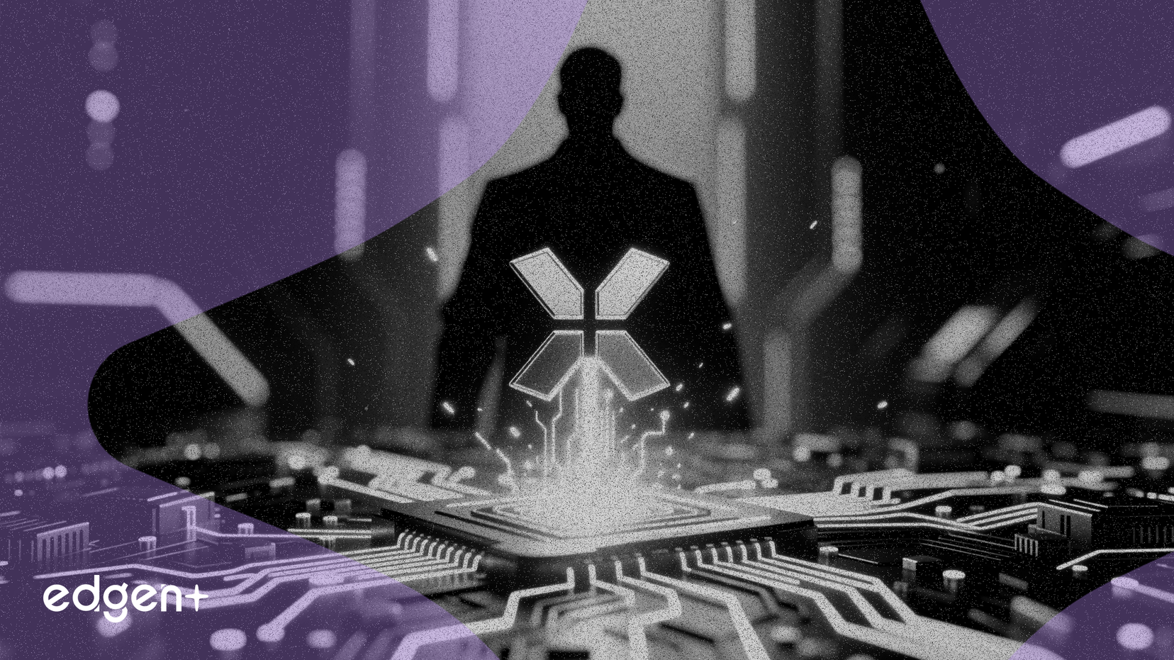 特朗普监管政策推动 XRP 需求有望上升