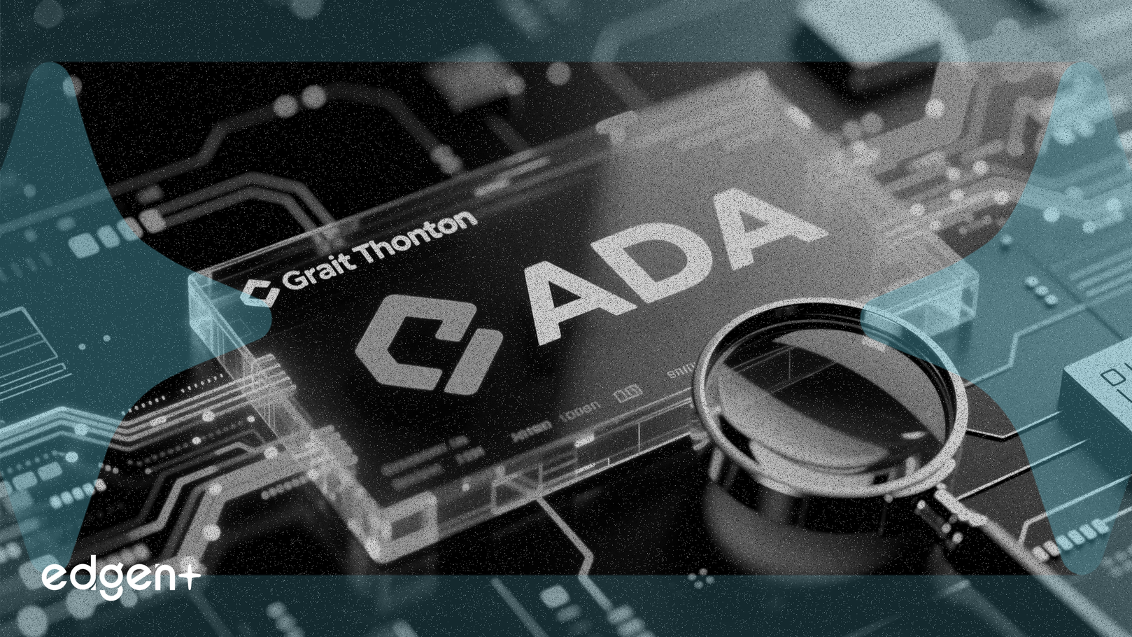 カルダノ、財務監査でグラントソントンと提携