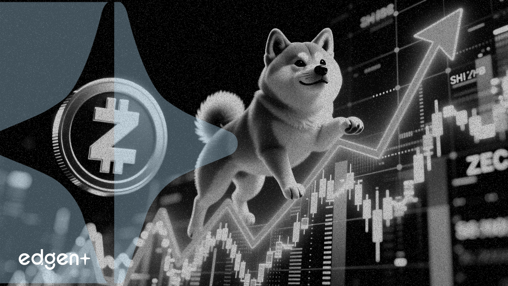 시바견 코인 4.2% 상승, 시가총액으로 Zcash 추월