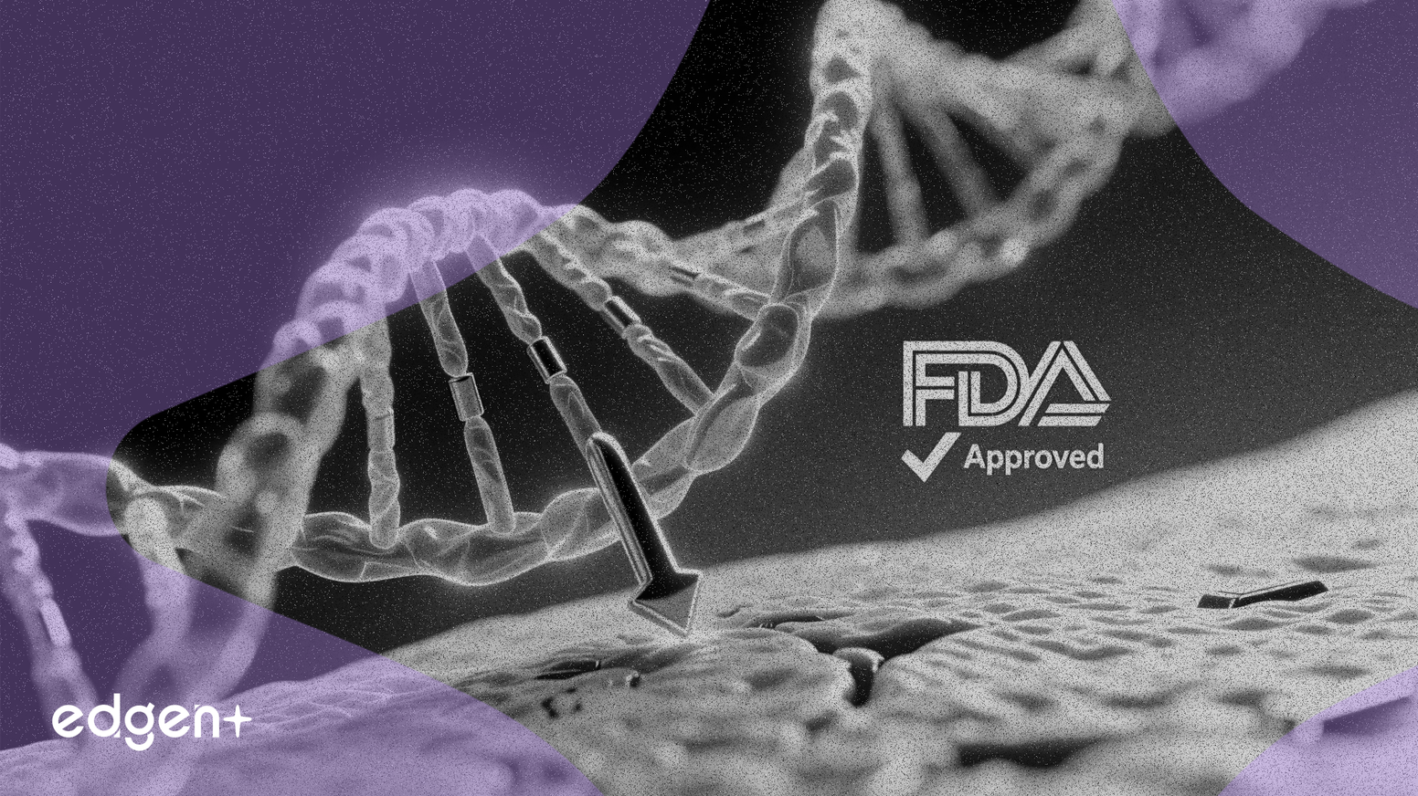 Vanda, 건선 치료제 이시돌리맙 FDA 심사 승인 획득