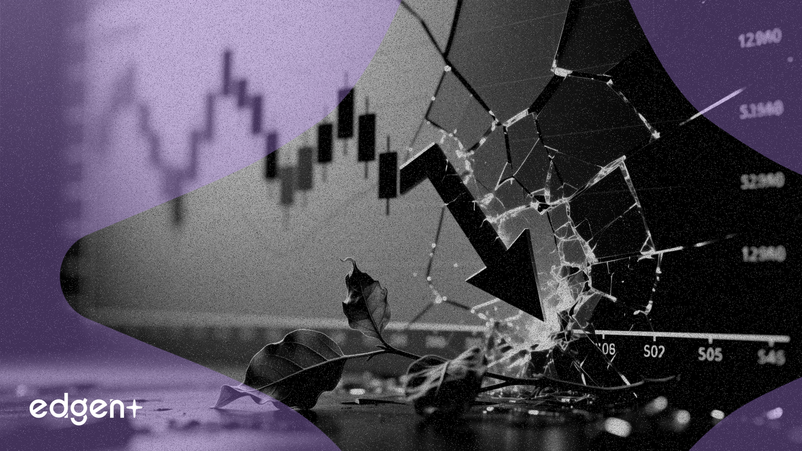 칼라일 4분기 이익 감소, 유기적 매출 약화