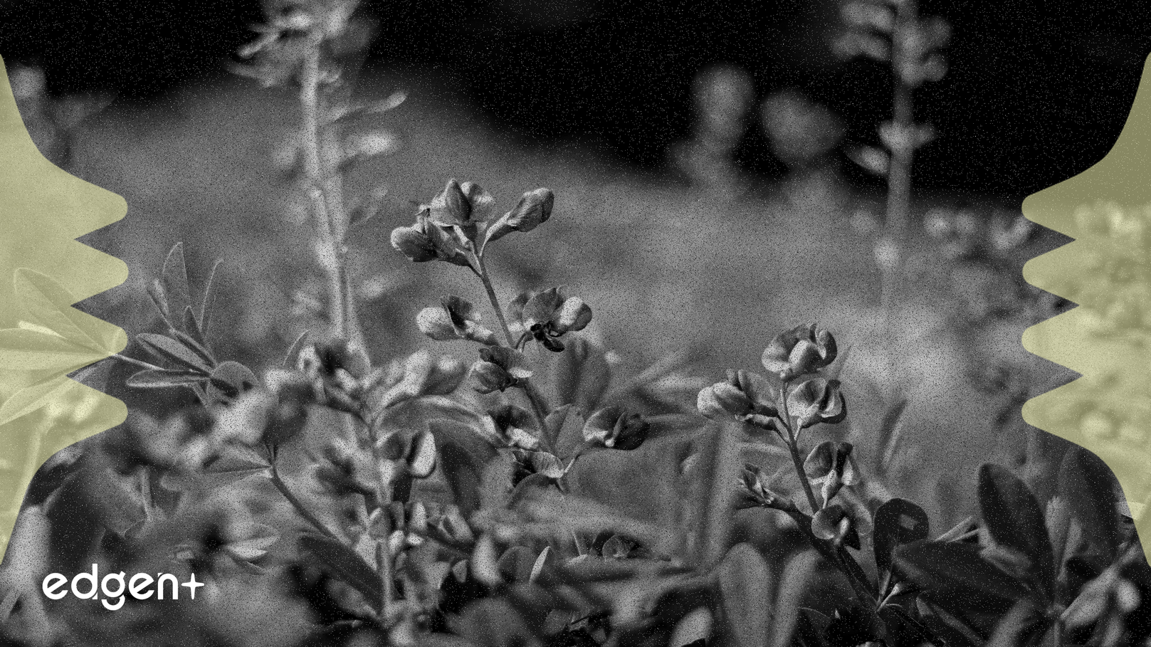 Jupiter、低迷を受け1億2,100万JUPトークン焼却とDAO改革を提案