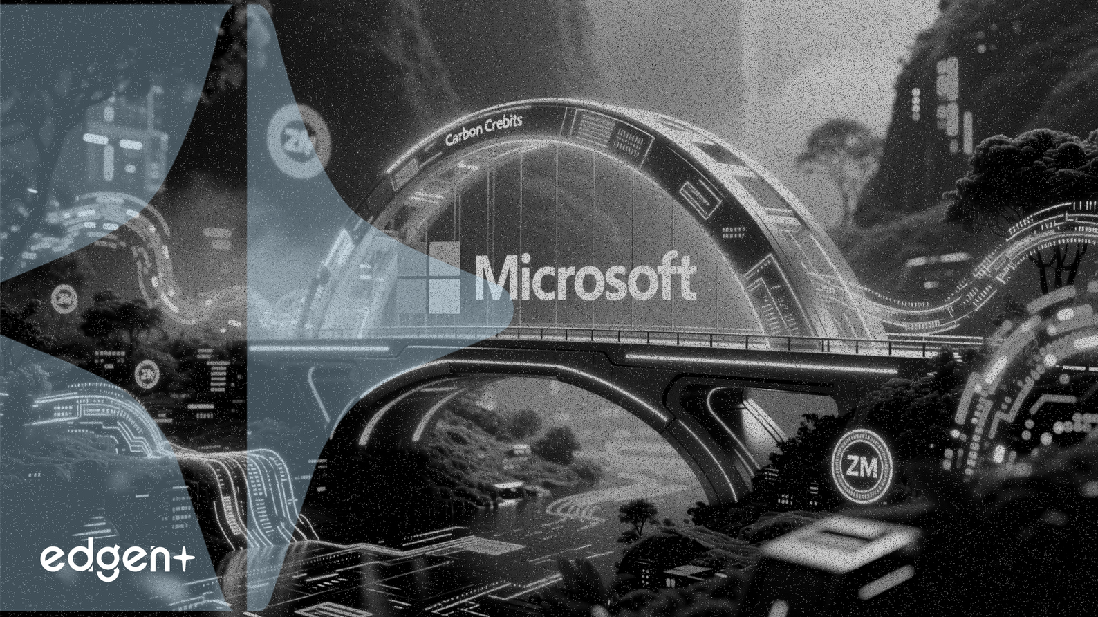 Microsoft asegura 2 millones de toneladas de créditos de carbono en un acuerdo de 9 años con Rubicon