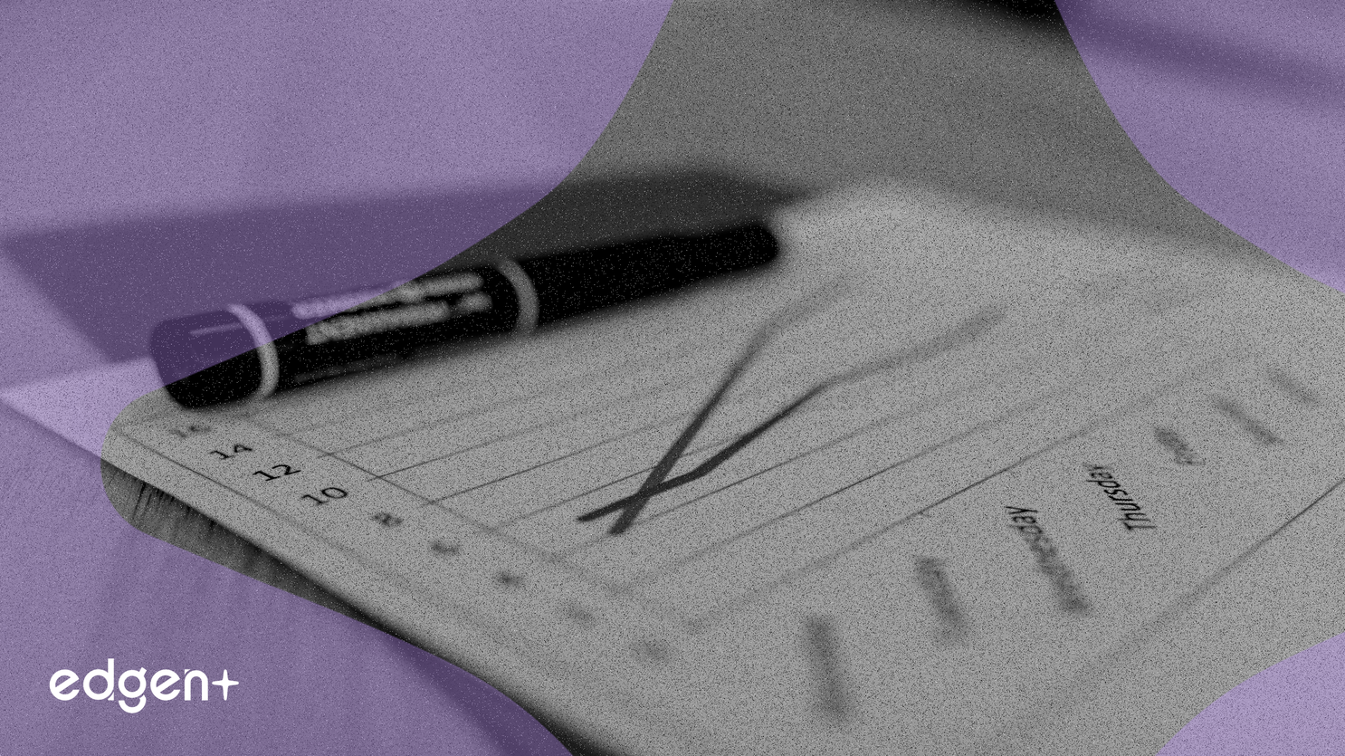 Apparel and Accessories Sector Shows Divergent Performance in Latest Earnings Reports