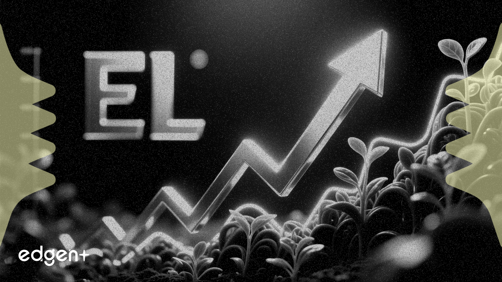 雅诗兰黛上涨39%，利润焦点超越e.l.f. Beauty的增长