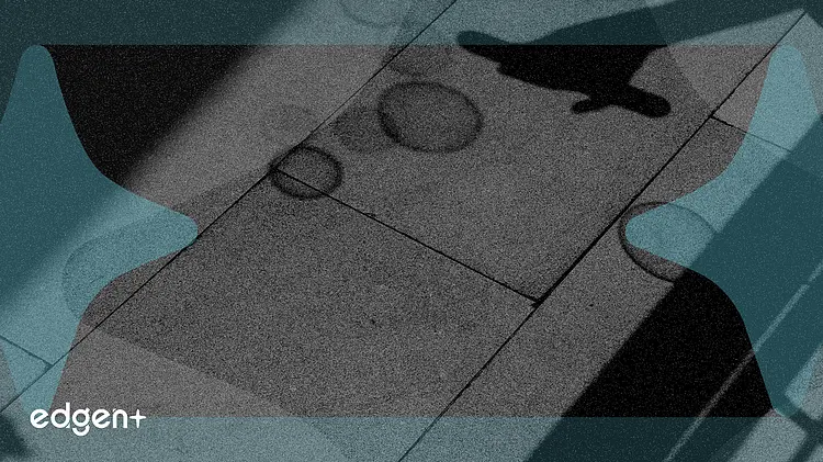 美国政府免除西南航空1100万美元罚款