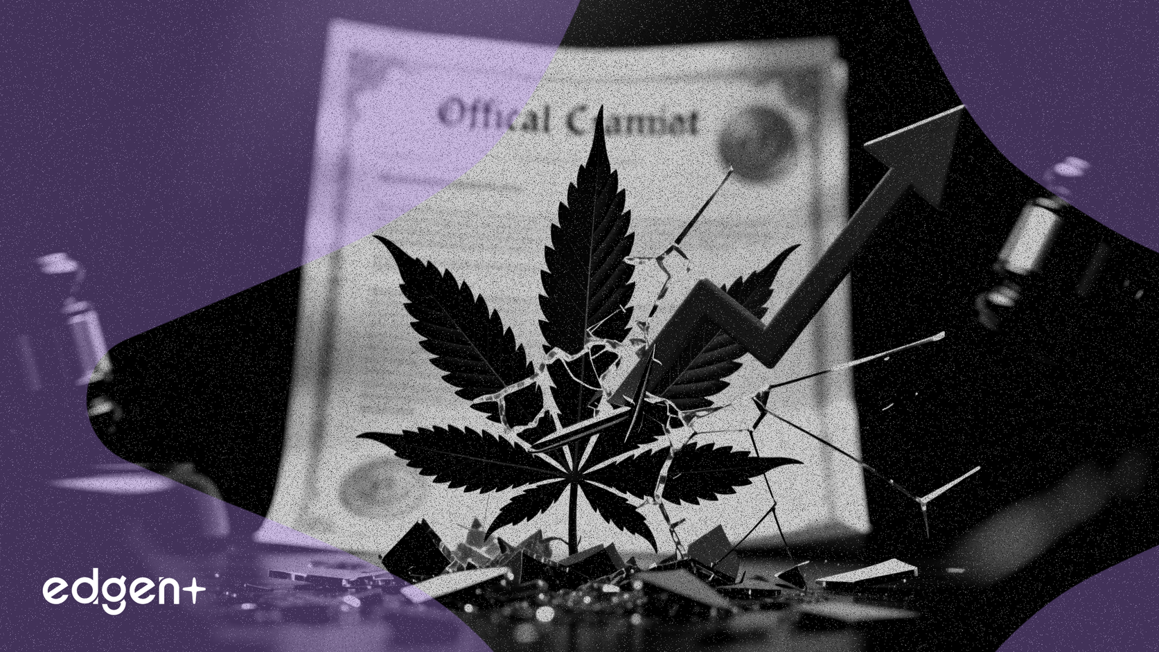 儘管特朗普頒布利好行政令，大麻股仍暴跌27%