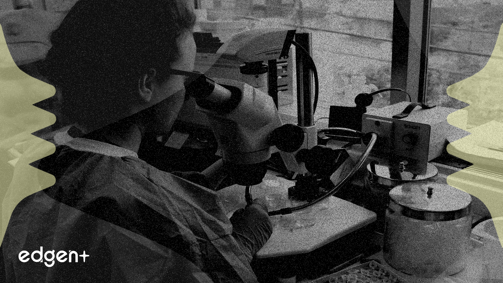 Absciが幹細胞を用いた毛髪成長データを発表