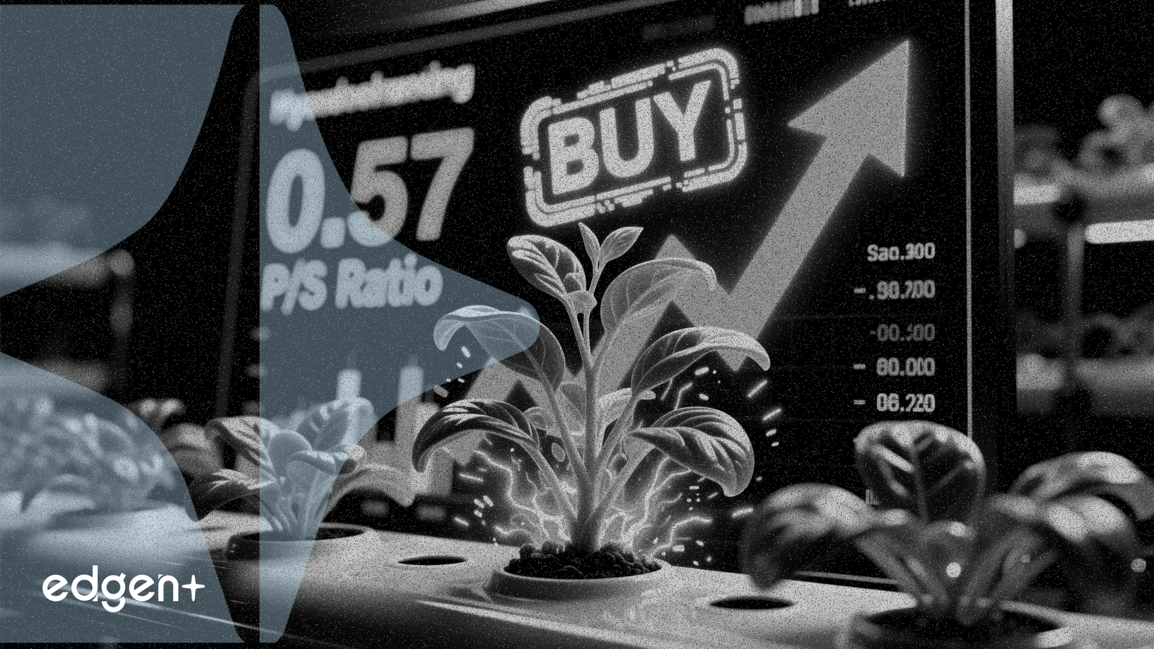 GrowGeneration obtiene calificación de compra con una baja relación P/V de 0,57