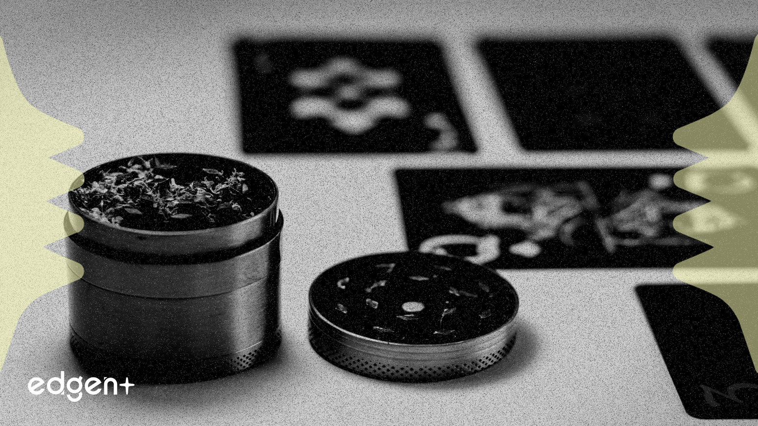 Village Farms International Shares Advance Following Strong Q3 2025 Performance and Product Innovation