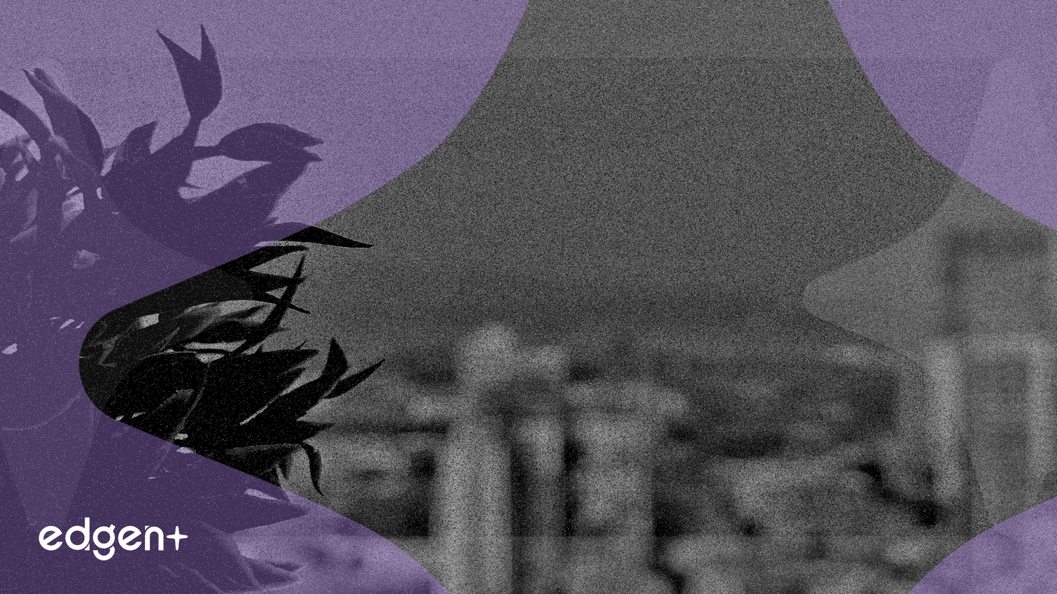 오르가니그램, 글로벌 확장으로 매출 상승