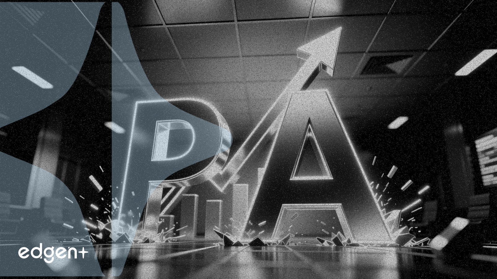 Palomar y ACNB superan al sector financiero en medio de sólidas ganancias