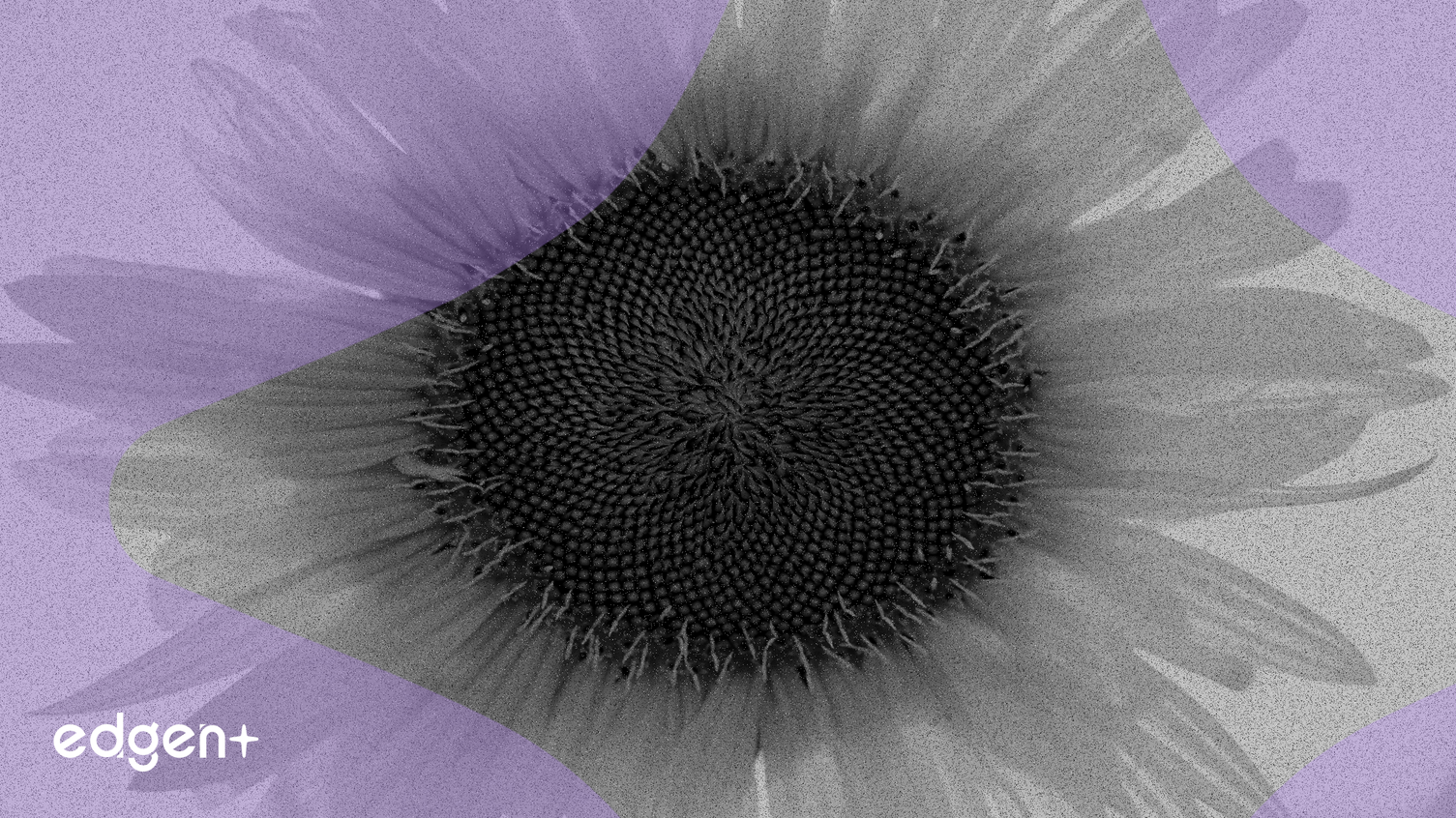 Brookfield Renewable, Farklı Değerlemeler Arasında Yapay Zeka Odaklı Güç Talebini Yönetiyor