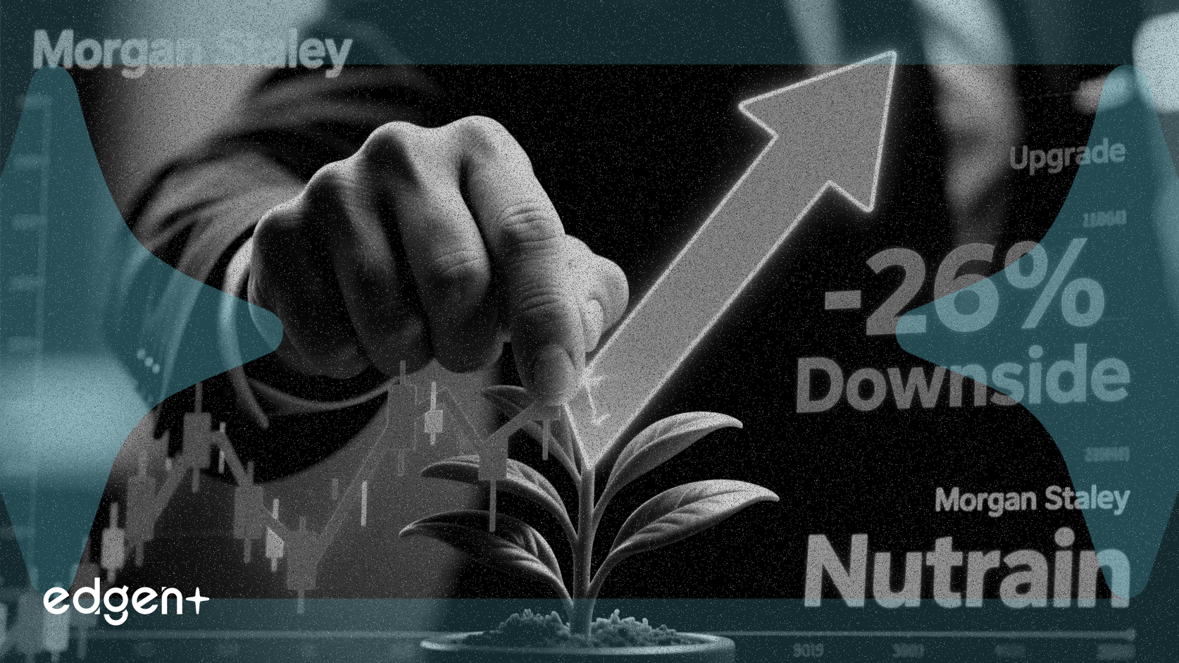 Morgan Stanley Relève la Note de Nutrien Malgré une Prévision de Baisse de 26%