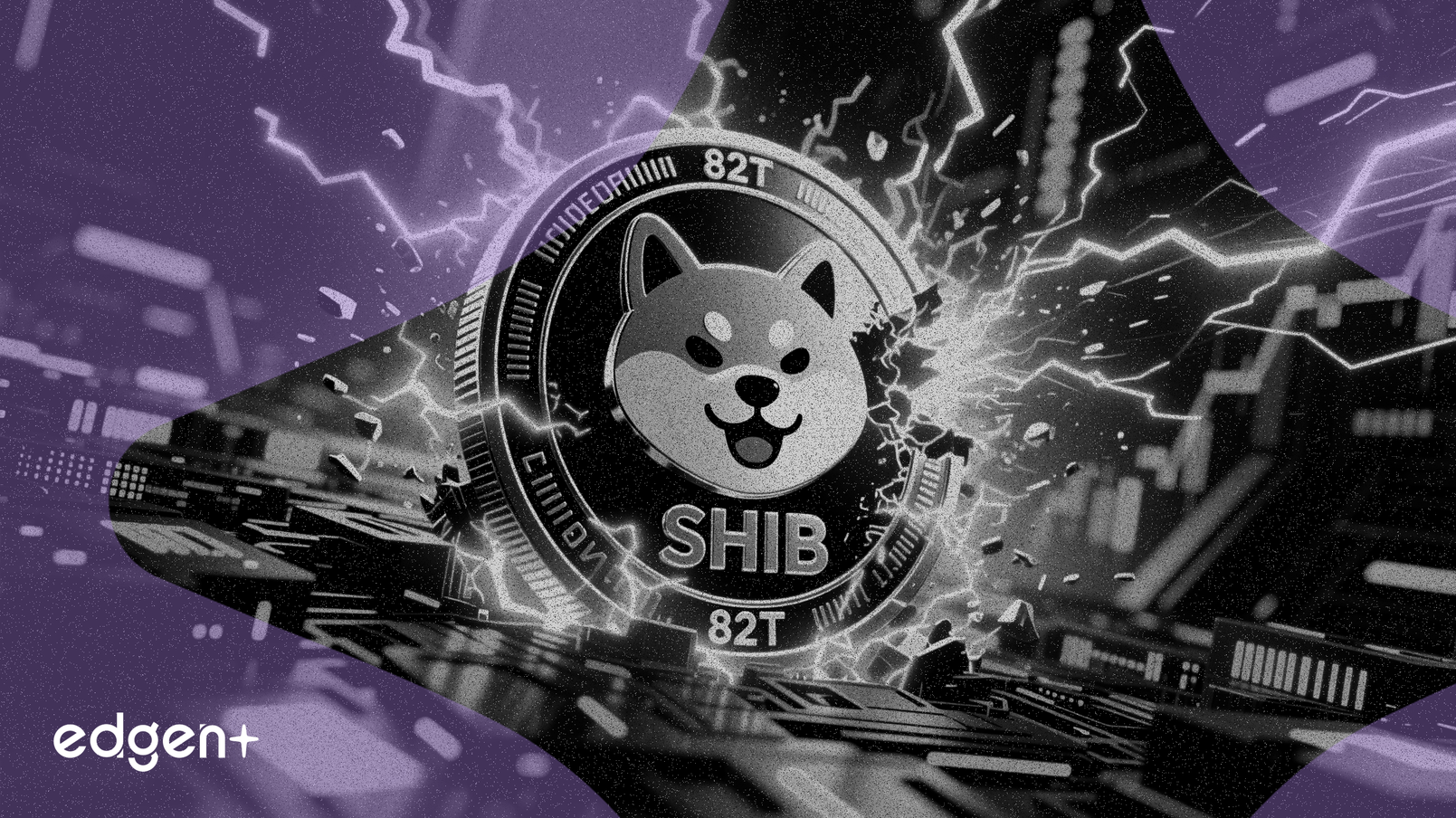 投资者从交易所撤出82万亿枚SHIB