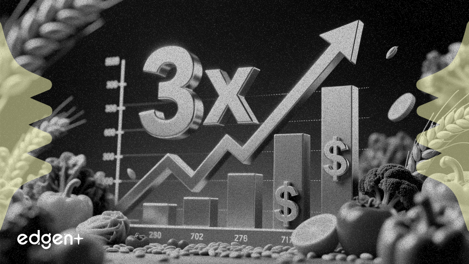 United Natural Foods 2. Çeyrek Hisse Başına Kazancı 0.62 Dolara Üç Kat Arttı