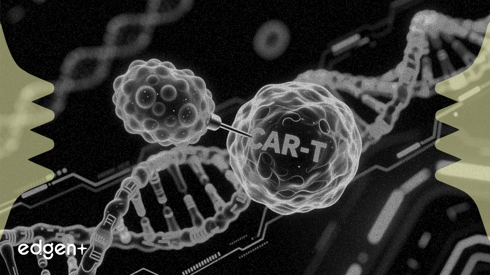 CREATE Medicines présentera des données CAR-T in vivo à la Conférence J.P. Morgan