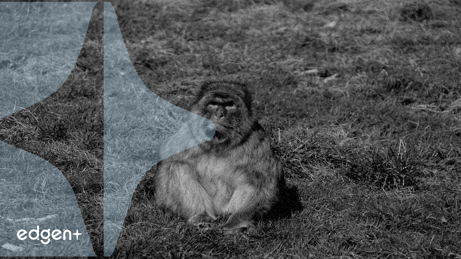 幣安 Alpha 將於 2025 年 9 月 27 日上線 Bitlight (LIGHT) 和 GOAT Network (GOATED)，並推出期貨和空投計劃