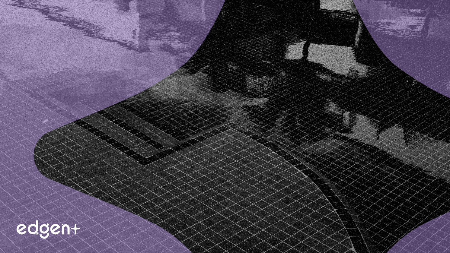 分析師對泳池公司意見分歧，目標價分別為304美元和240美元