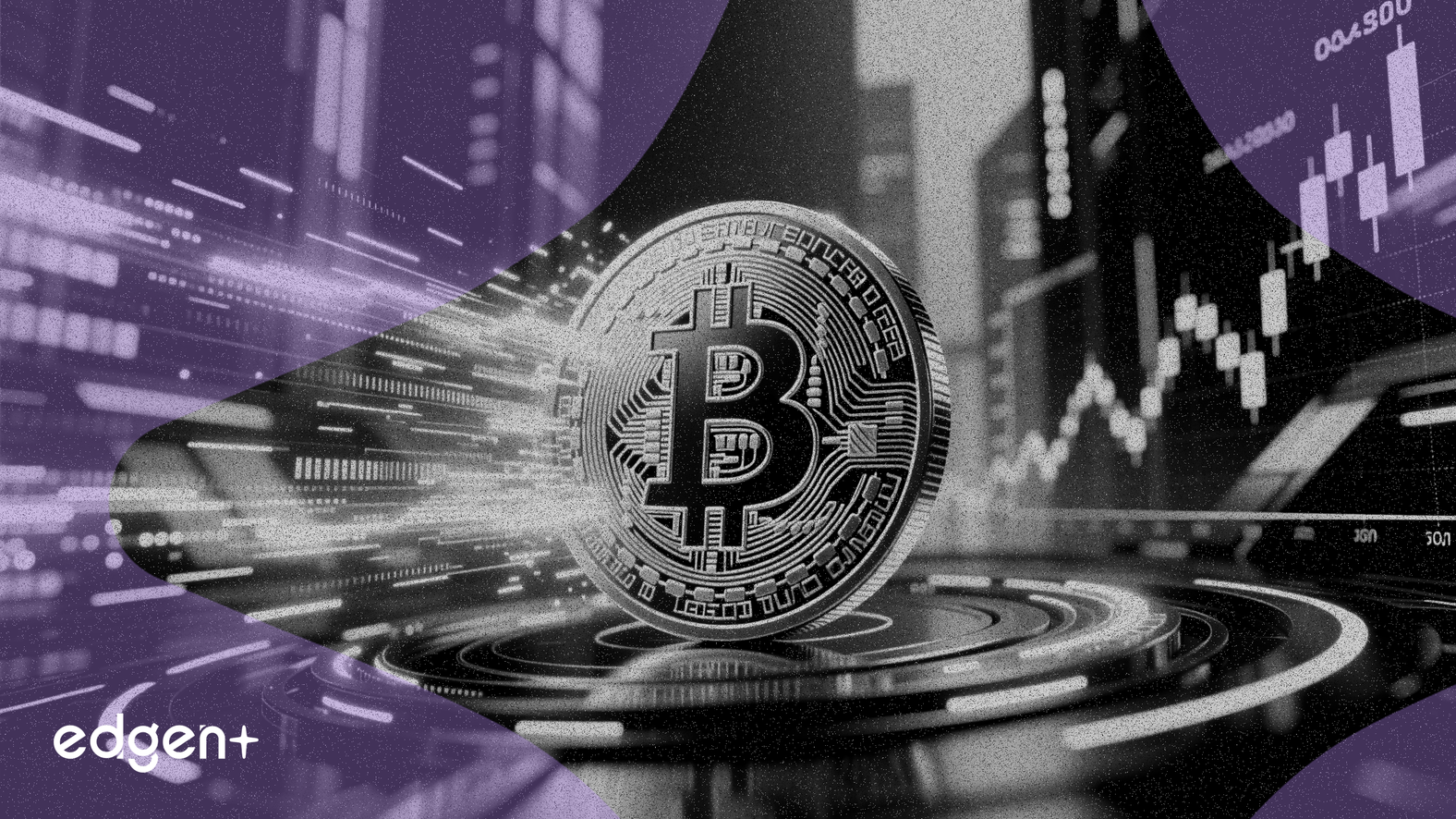 기관 유입으로 비트코인 시장 주기 단축