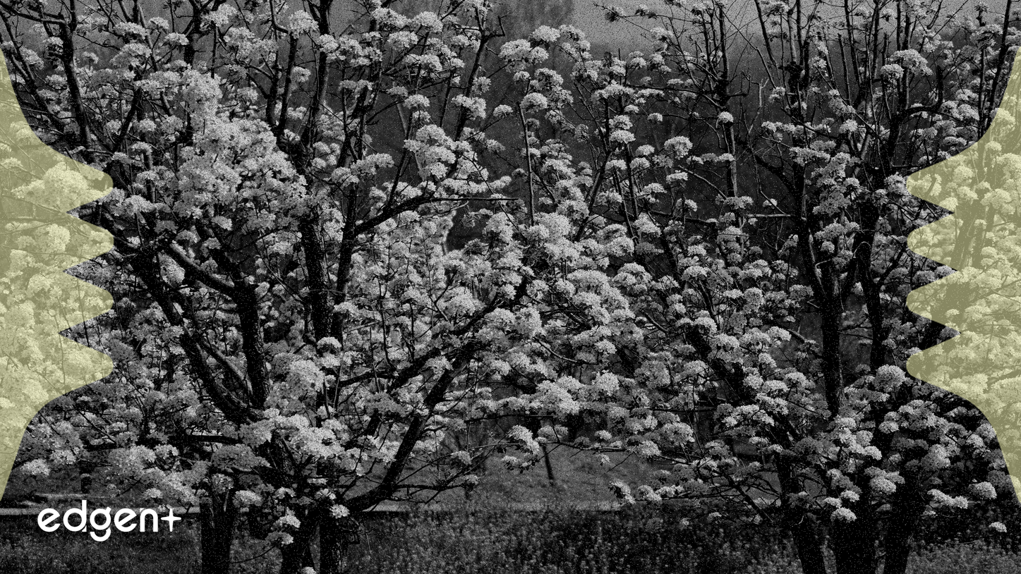 Kho bạc Bitcoin của Exodus Movement tăng lên 2.123 BTC vào tháng 9