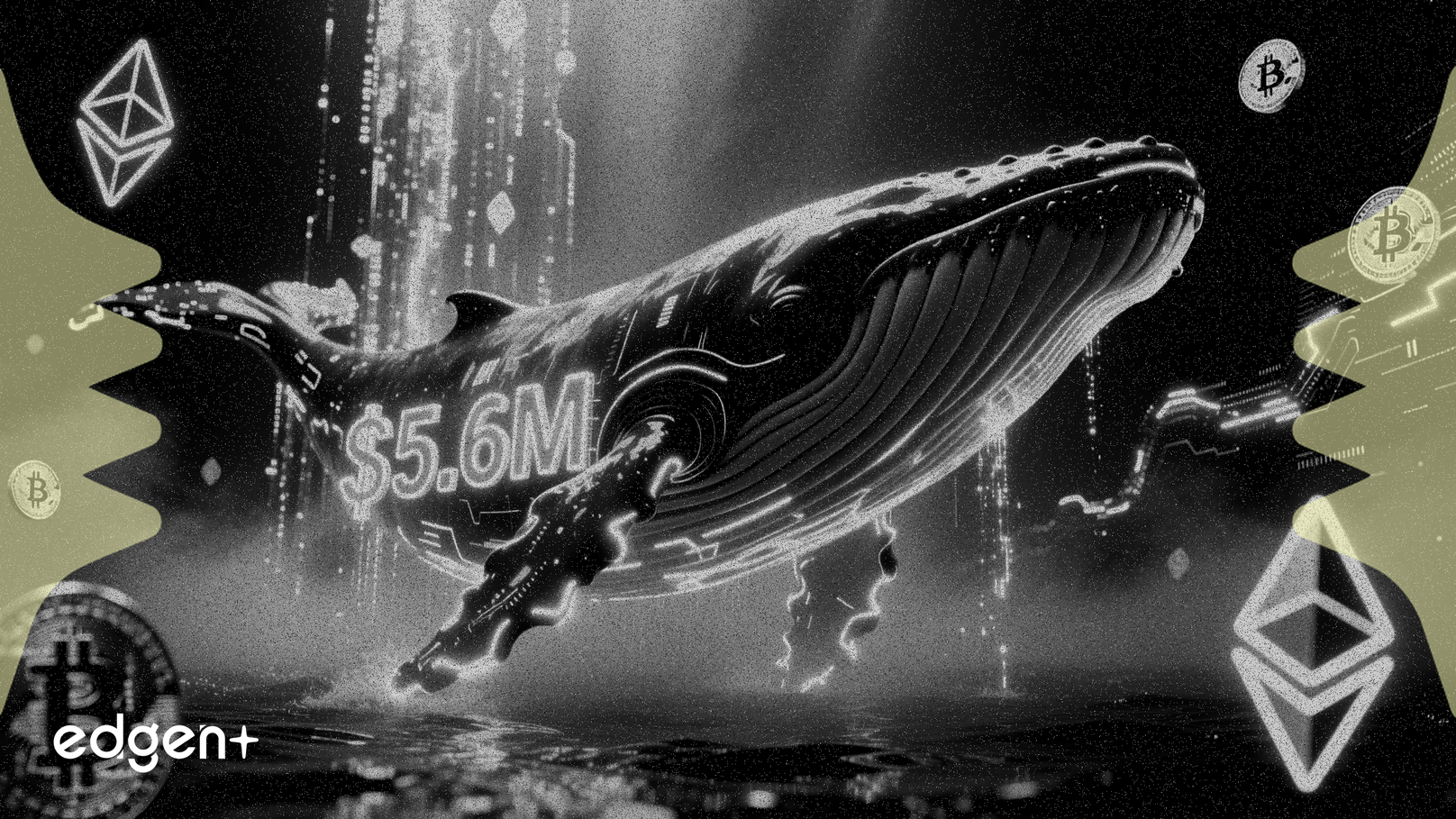 Ballena Adquiere 5,6 Millones de Dólares en Bitcoin y Ethereum