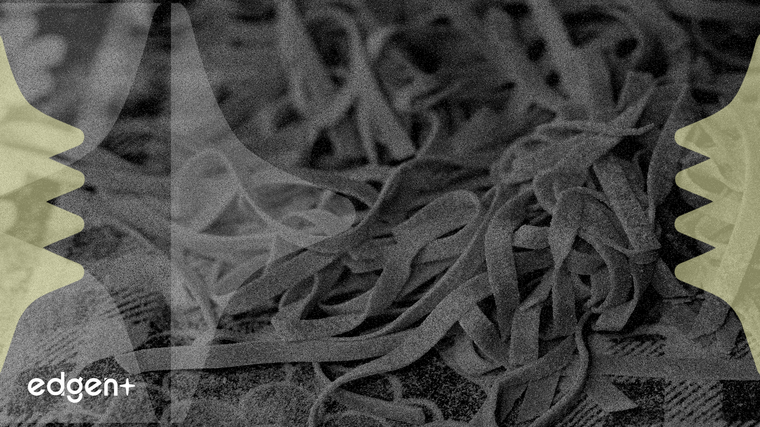 China Renaissance cae un 2,6% tras apuesta de 308 millones de yuanes en deuda en dificultades