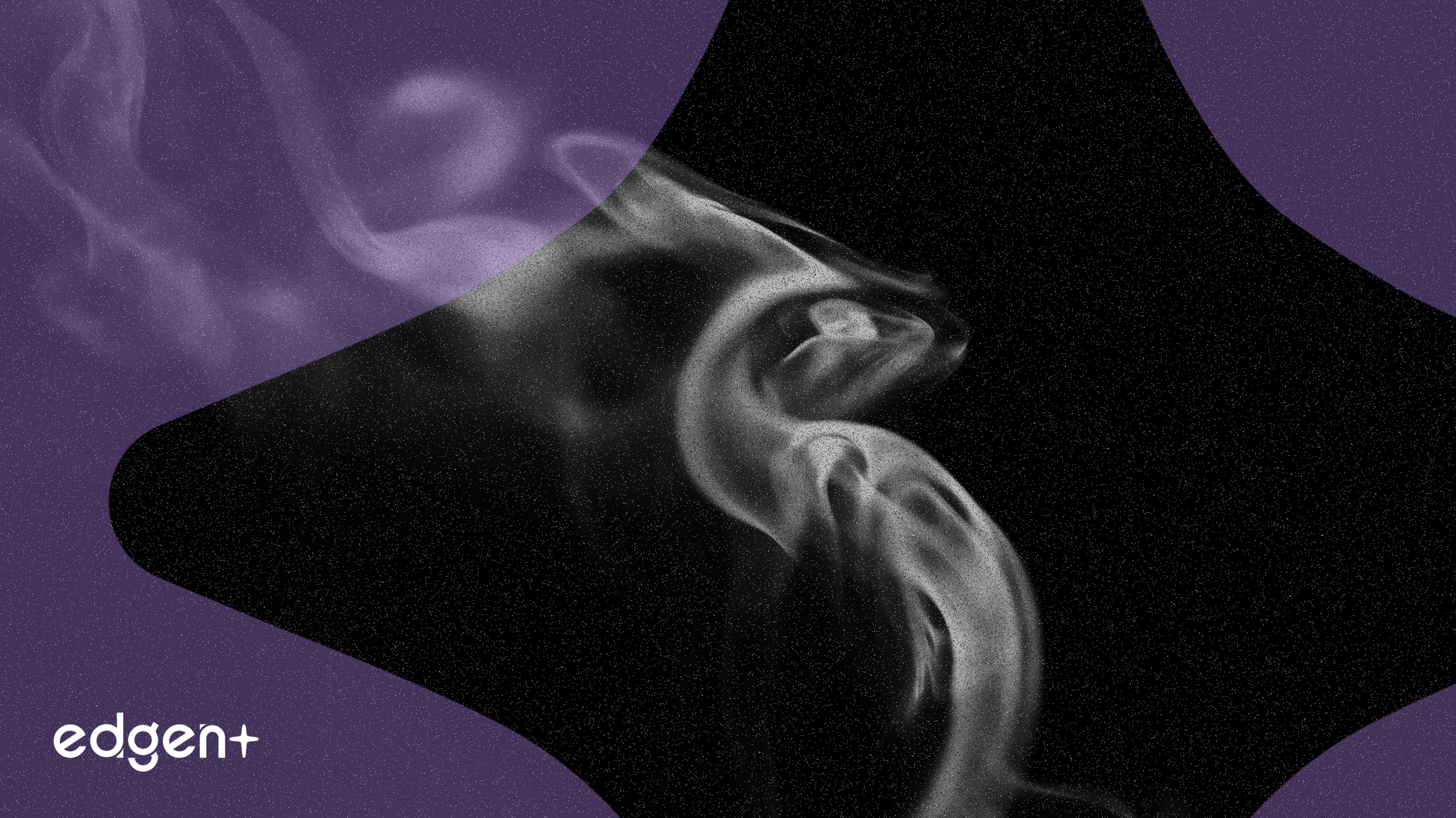 市場不確定性中比特幣和以太坊保持穩定；山寨幣表現參差不齊