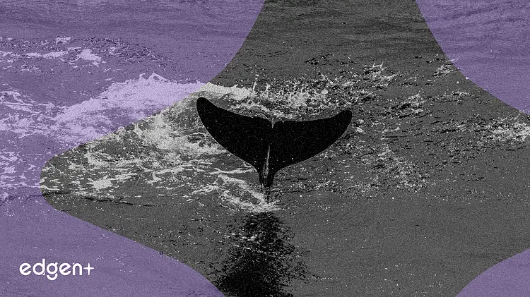 Owen Gunden Deposits $52.99 Million in Bitcoin to Kraken