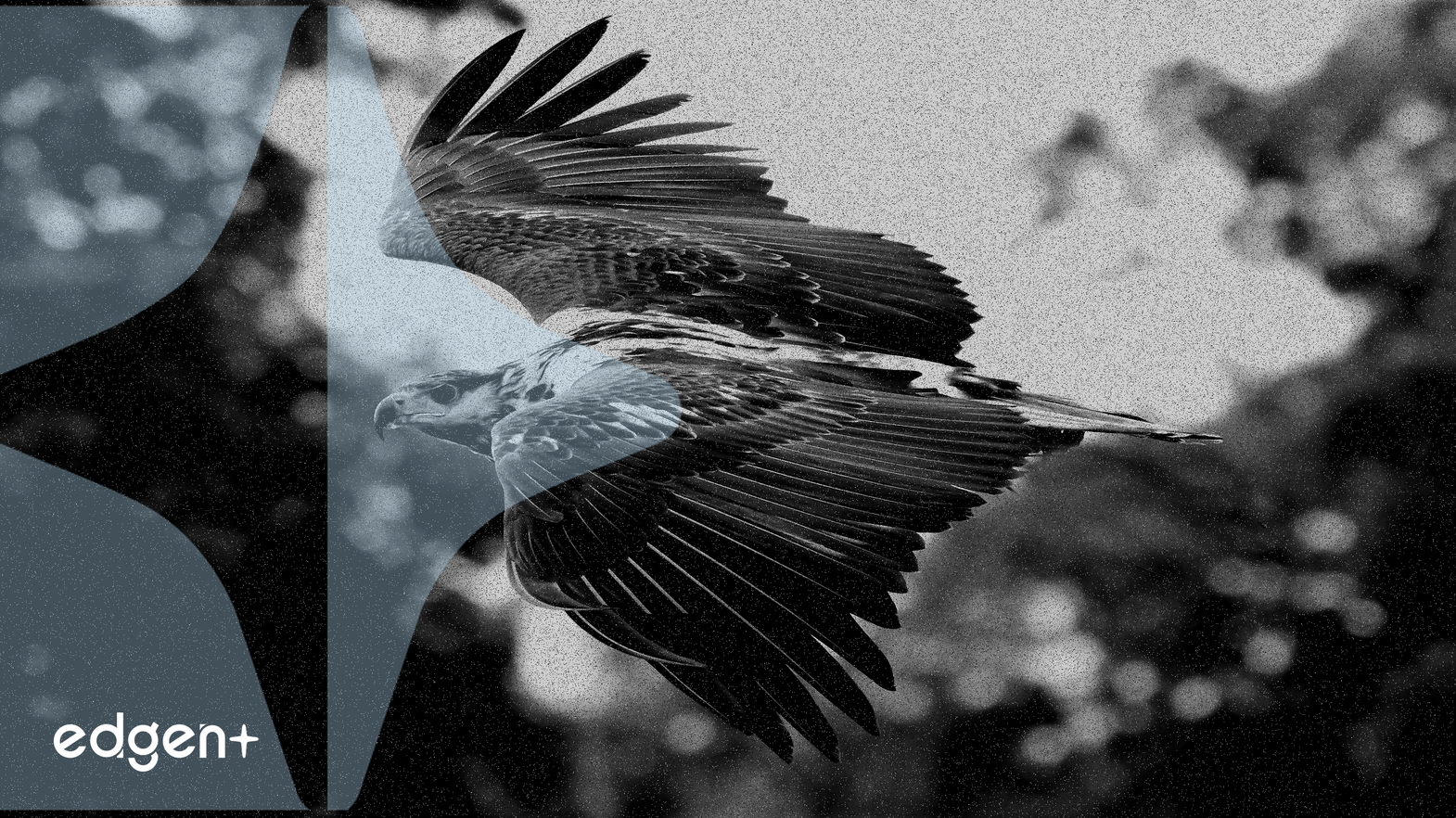 市場低迷後、4頭のクジラが4800万FFトークン（647万ドル相当）をステーキング