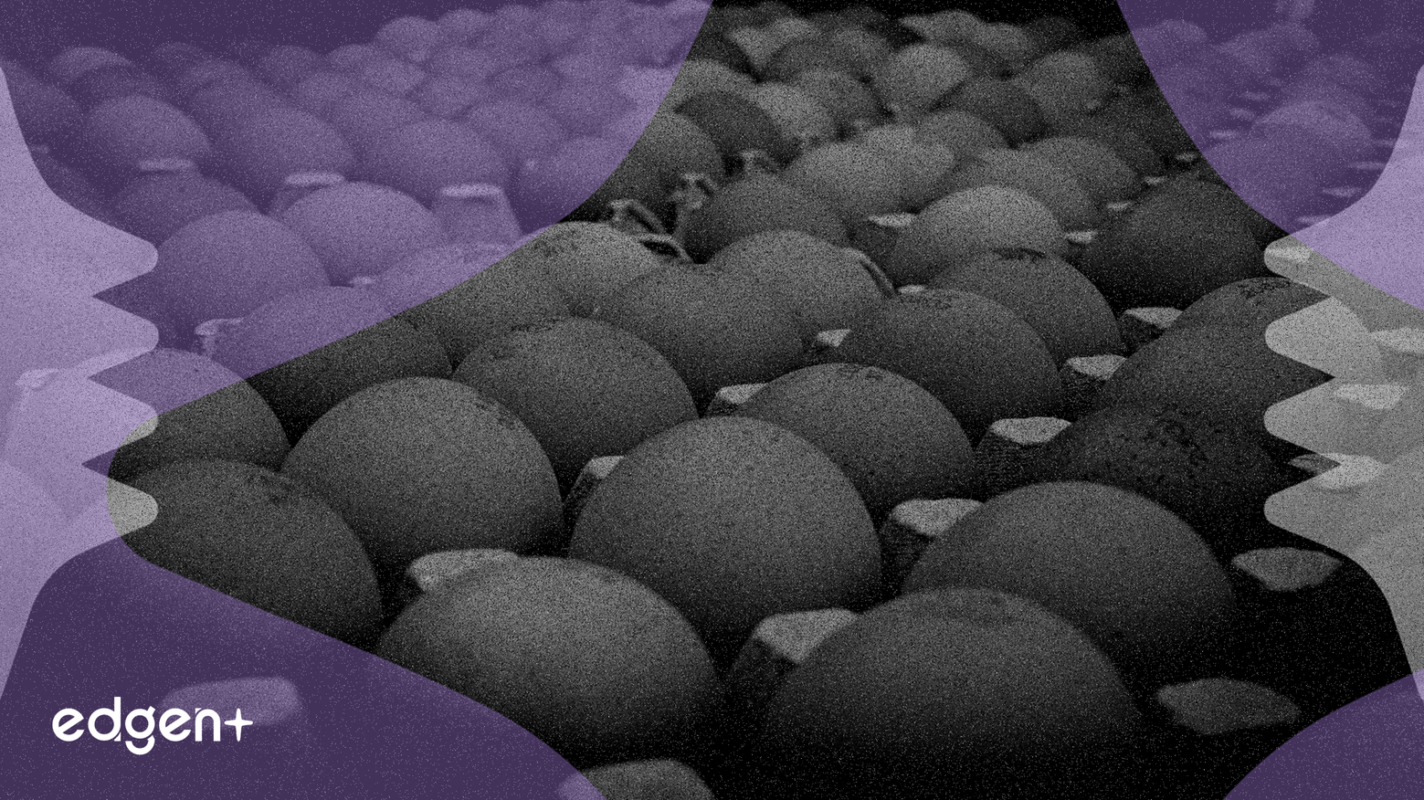 Cal-Maine Foods acquiert Echo Lake pour 258 millions de dollars